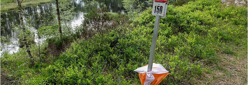 Bedriftsorienteringsløp